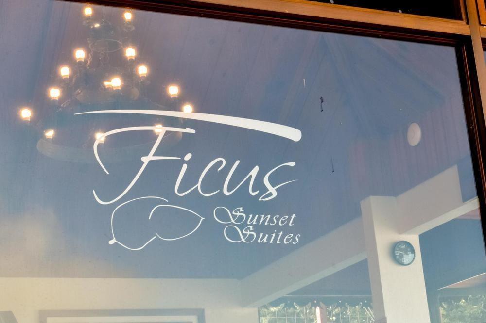 Ficus Lodge Monteverde ภายนอก รูปภาพ