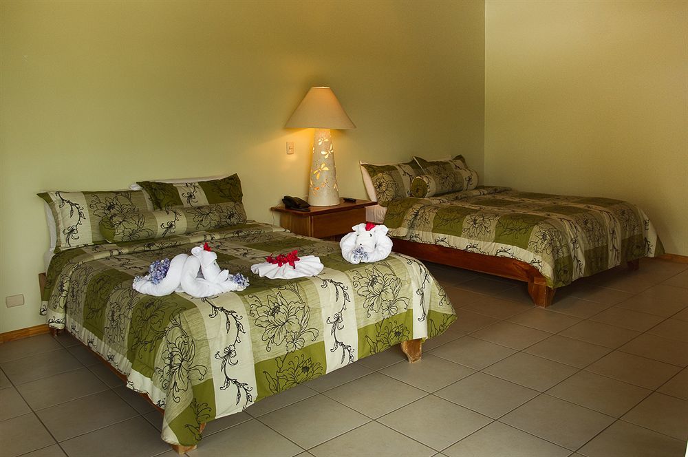 Ficus Lodge Monteverde ภายนอก รูปภาพ